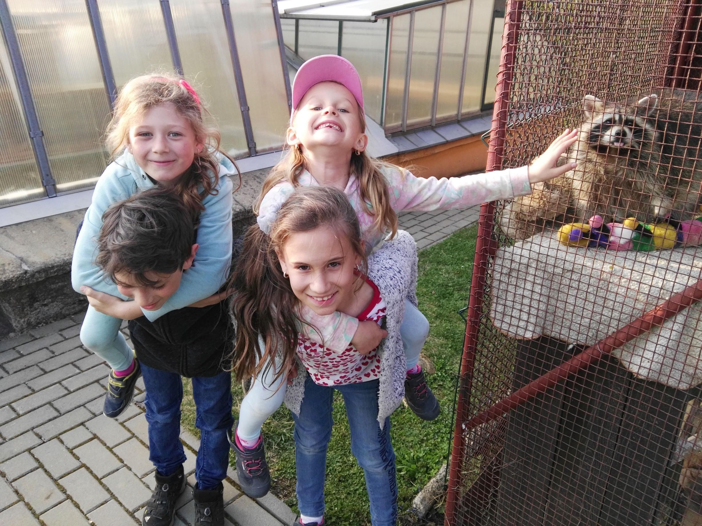 Ve včelíně i v klubovně