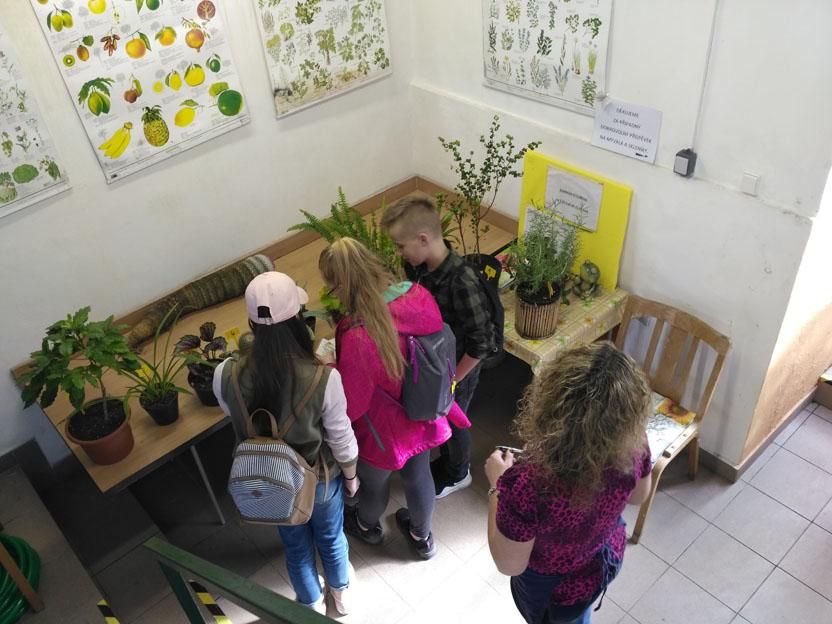 Exkurze ke zvířatům