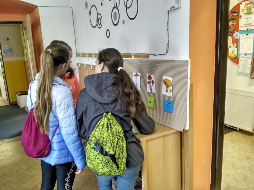 Exkurze ke zvířatům