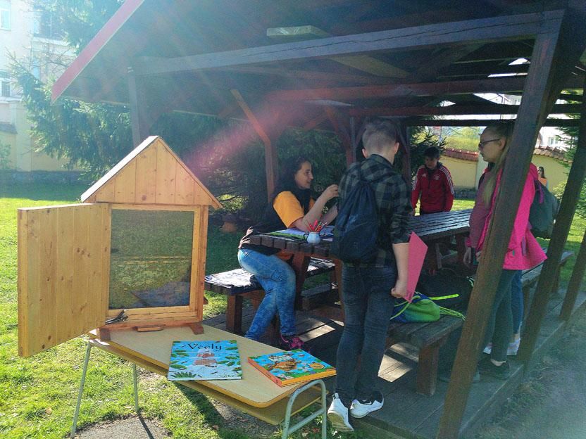 Exkurze ke zvířatům