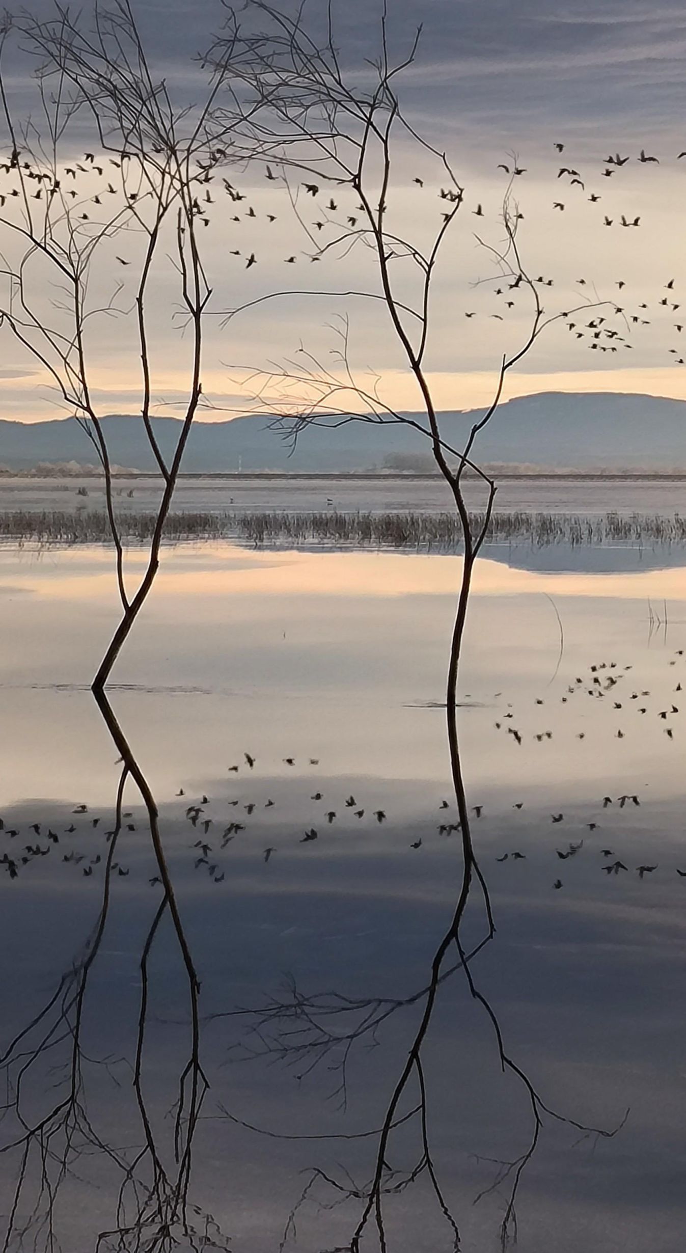 Vítězné fotografie Svět v pohybu