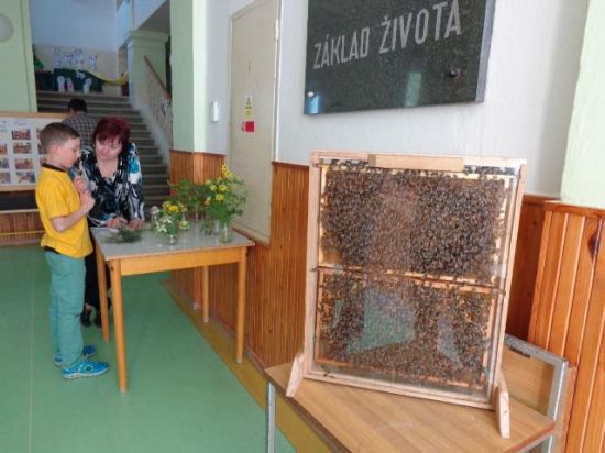 Zlatá včela 2016 - oblastní kolo Šumvald