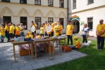 Zlatá včela - OK Olomoucký kraj