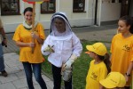 Zlatá včela - OK Olomoucký kraj