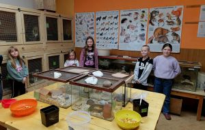 Hrátky se zvířátky