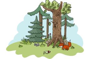 Korespondenční soutěž pro školy