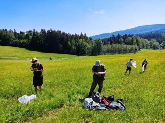 T EXPEDICE Jeseníky 2022