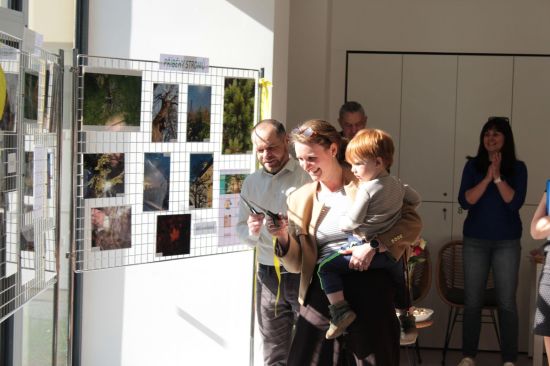 Fotosoutěž 2026 - Příběhy stromů