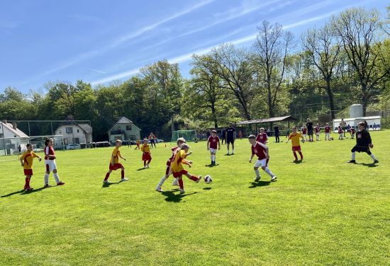 Sportovní soutěže